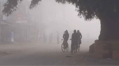 ঘন কুয়াশায় ঢাকা পঞ্চগড়, জবুথবু জনজীবন