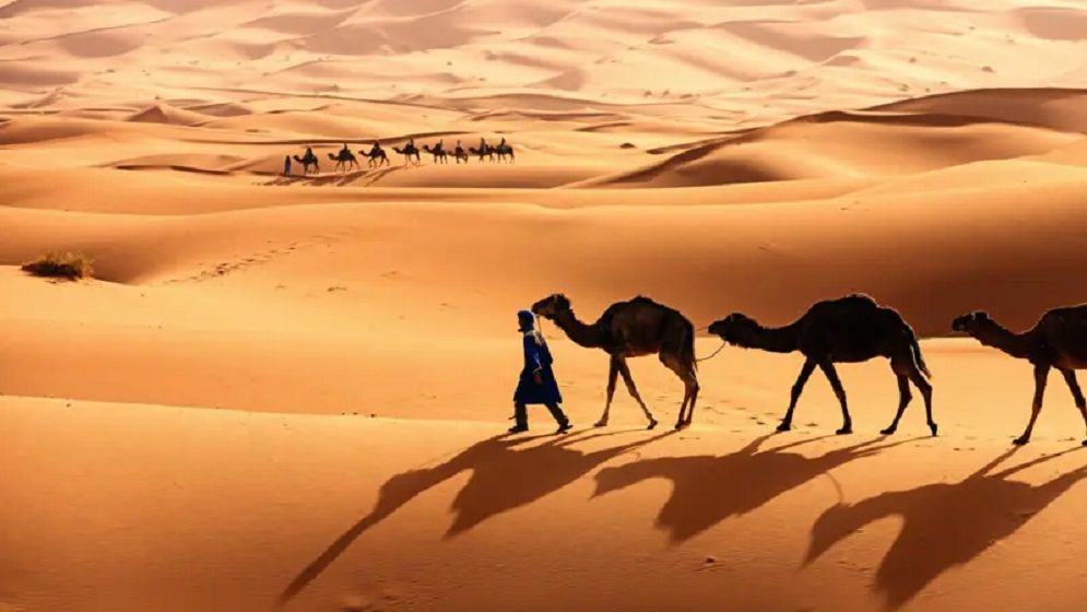 বেদুইন গোষ্ঠী থেকে যেভাবে রাষ্ট্রে পরিণত সৌদি আরব