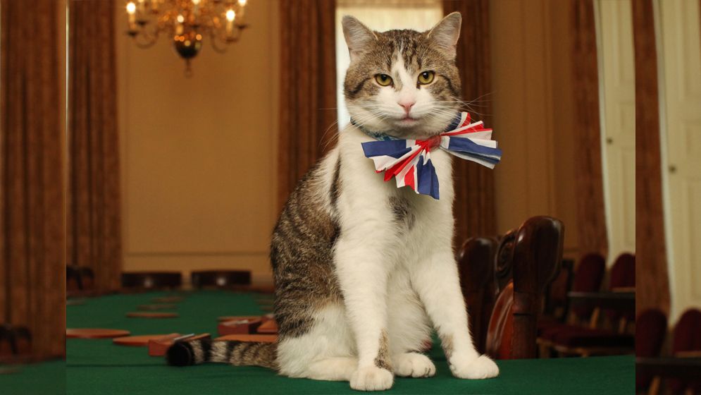 ব্রিটিশ রাজনীতির নীরব সাক্ষী, ১৫ বছরে ল্যারি দ্য ক্যাটের অবিচল রাজত্ব