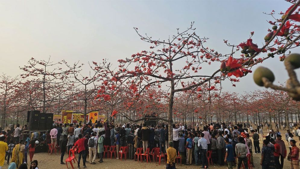 আগুনরাঙা শিমুল বাগান