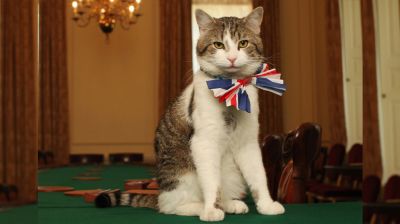 ব্রিটিশ রাজনীতির নীরব সাক্ষী, ১৫ বছরে ল্যারি দ্য ক্যাটের অবিচল রাজত্ব