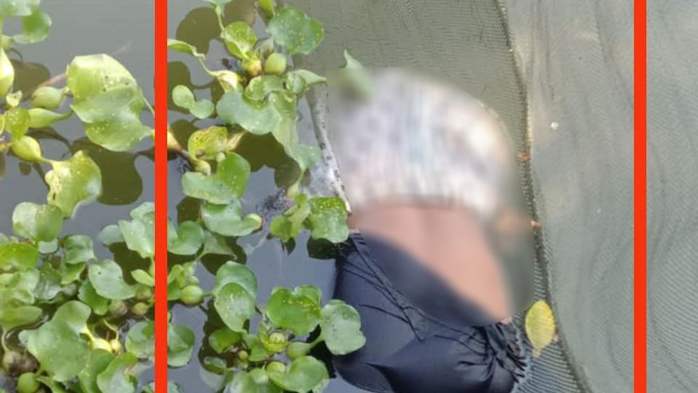 চকরিয়ায় পুকুরে নারীর লাশ