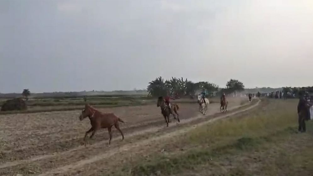 ফরিদপুরে ঘোড়দৌড় প্রতিযোগিতা দেখতে মানুষের ঢল