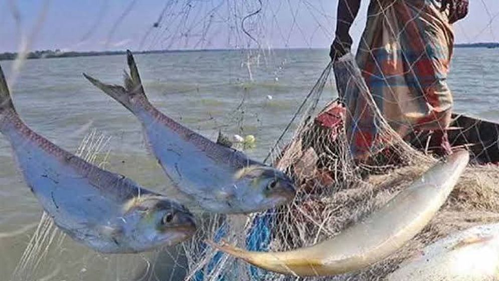 ১৫ এপ্রিল থেকে ৫৮ দিনের ইলিশ ধরায় নিষেধাজ্ঞা
