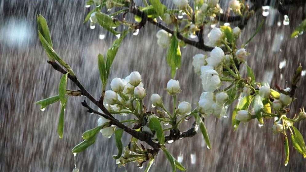 ঢাকায় বজ্রবৃষ্টি আভাস, বাড়তে পারে তাপমাত্রা