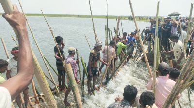 হাওরের বাঁধ ভেঙে ৯ হাজার হেক্টর ধান পানির নিচে