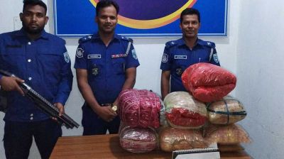 চেকপোস্ট দেখে পালানোর সময় উল্টে গেলো অটোরিকশা, সাড়ে ২৭ কেজি গাঁজা উদ্ধার  