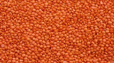 ৯ হাজার টন মসুর ডাল কিনবে সরকার, ব্যয় ৭২ কোটি টাকা