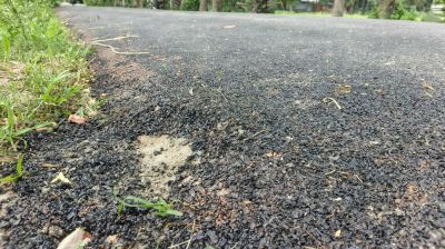 রাঙ্গাবালীতে সড়ক সংস্কারে অনিয়মের অভিযোগ