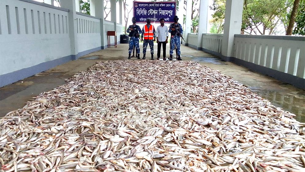 মহিপুরে কোস্টগার্ডের অভিযানে ফের সামুদ্রিক মাছ জব্দ
