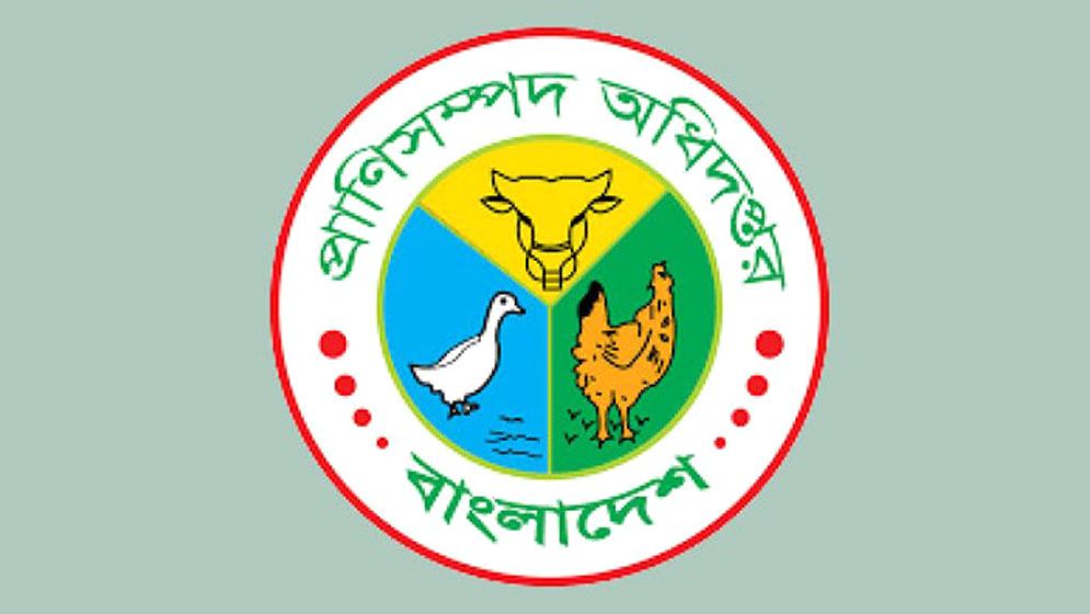 ‘ভারত থেকে গরু আমদানির অনুমতিপত্রটি ভুয়া’  