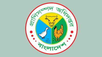 ‘ভারত থেকে গরু আমদানির অনুমতিপত্রটি ভুয়া’  