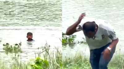 মৌমাছির কামড়ে ১০ শিক্ষার্থী আহত, বাঁচার জন্য পুকুরে ঝাঁপ