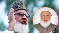 ‘নিজামীর মৃত্যুদণ্ড ছিল রাজনৈতিক উদ্দেশ্যপ্রণোদিত’